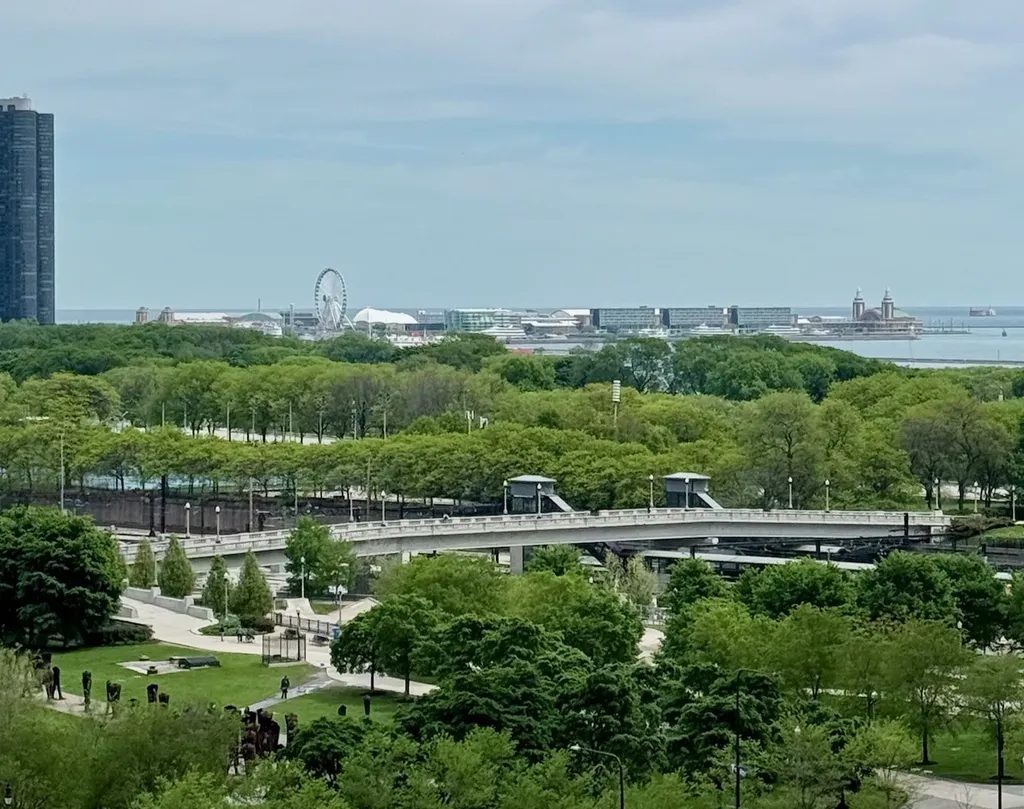 1250 South Michigan Avenue Chicago IL 60605