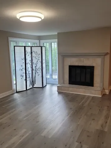 171 Frederick Drive Chicago Heights IL 60411