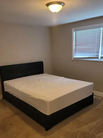 171 Frederick Drive Chicago Heights IL 60411