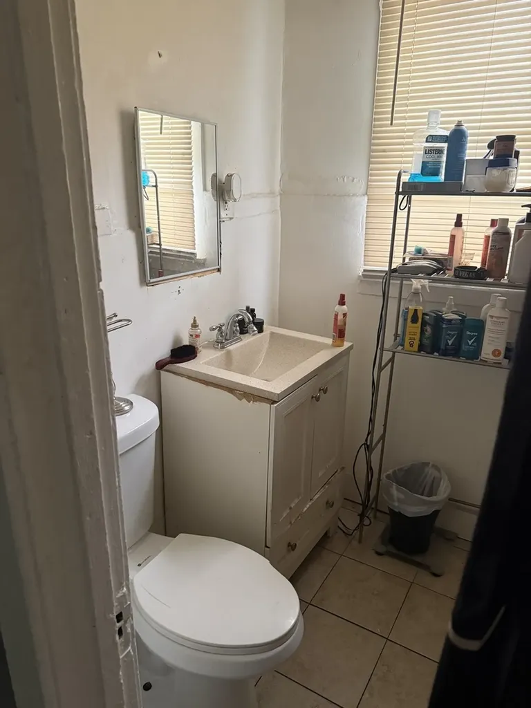 1629 South Karlov Avenue Chicago IL 60623