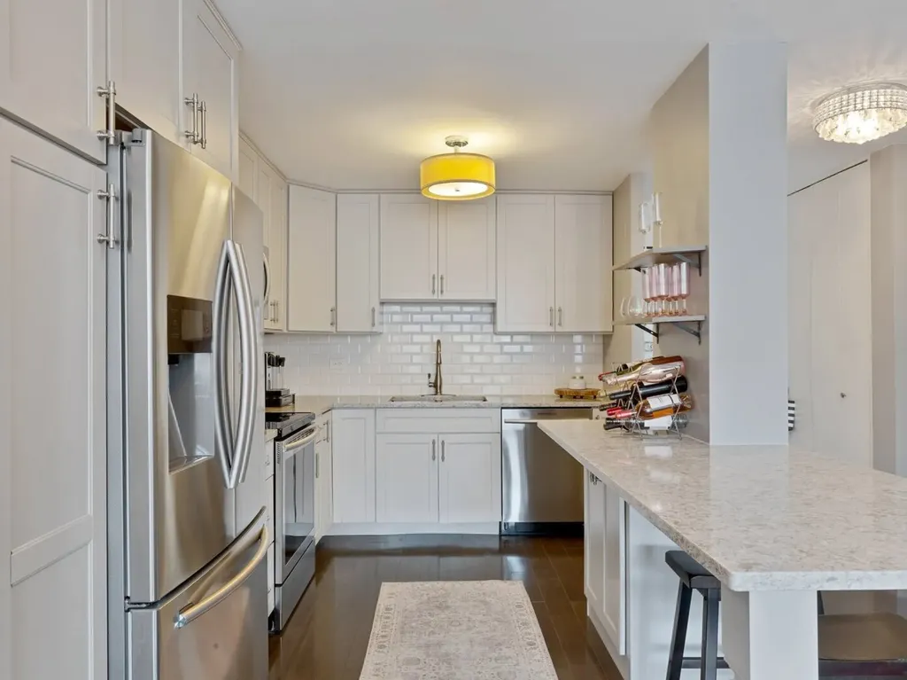 1555 North Sandburg Terrace Chicago IL 60610