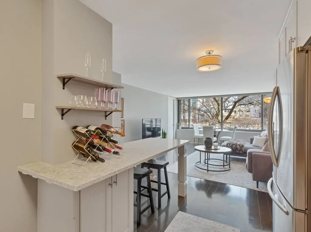 1555 North Sandburg Terrace Chicago IL 60610
