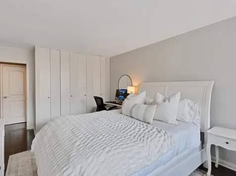 1555 North Sandburg Terrace Chicago IL 60610
