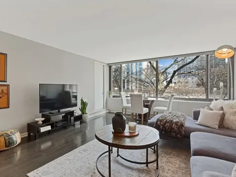 1555 North Sandburg Terrace Chicago IL 60610