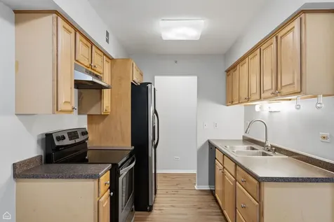 916 Casey Court Schaumburg IL 60173