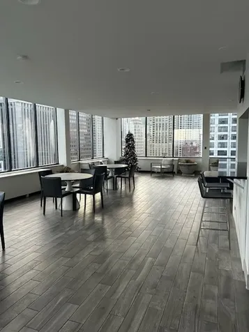 222 East Pearson Street Chicago IL 60611
