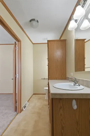 1041 Aspen Drive Manteno IL 60950