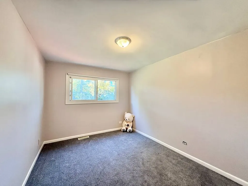 3 Catalpa Court Woodridge IL 60517