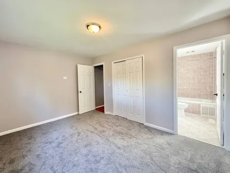 3 Catalpa Court Woodridge IL 60517
