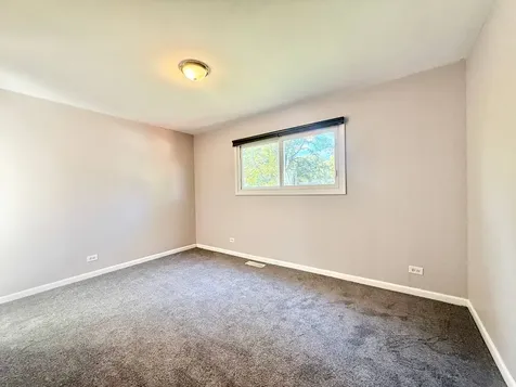 3 Catalpa Court Woodridge IL 60517
