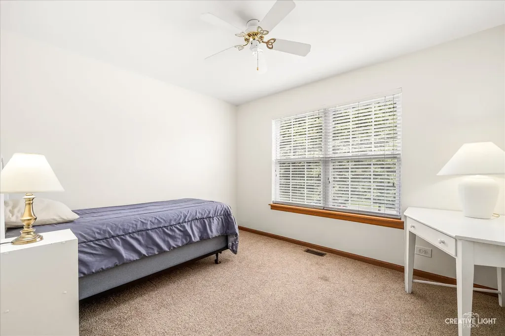 2324 Snapdragon Road Naperville IL 60564