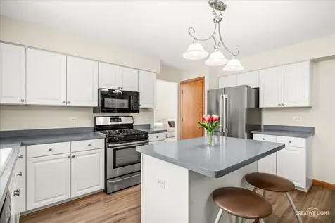 2324 Snapdragon Road Naperville IL 60564