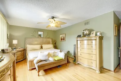 22417 Riverside Drive Richton Park IL 60471