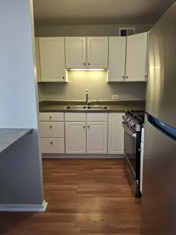 2605 South Indiana Avenue Chicago IL 60616
