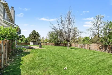 1110 Marion Court Shorewood IL 60404