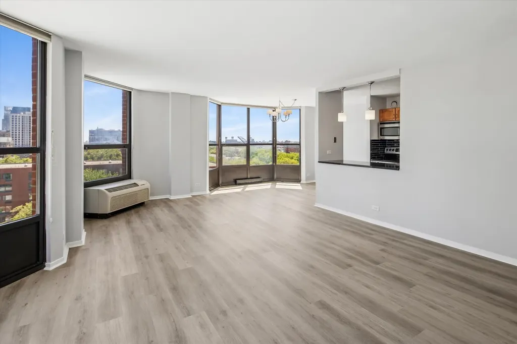 901 South Plymouth Court Chicago IL 60605