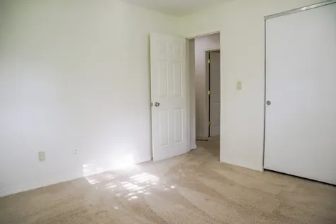 1207 West Dianne Lane Mahomet IL 61853