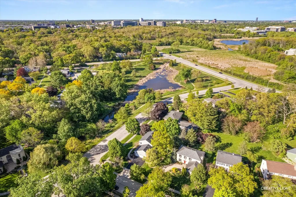1081 Barneswood Drive Downers Grove IL 60515