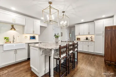 1081 Barneswood Drive Downers Grove IL 60515