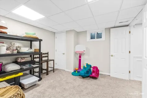 1081 Barneswood Drive Downers Grove IL 60515