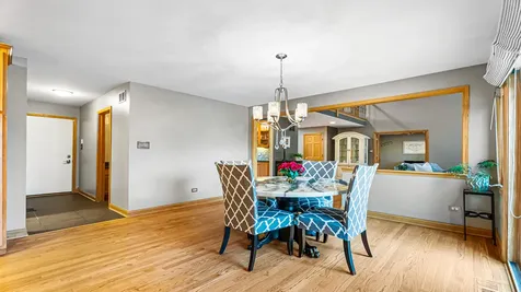 22043 Emily Lane Frankfort IL 60423