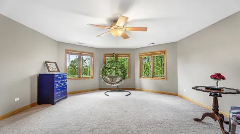 22043 Emily Lane Frankfort IL 60423