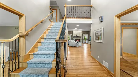 22043 Emily Lane Frankfort IL 60423
