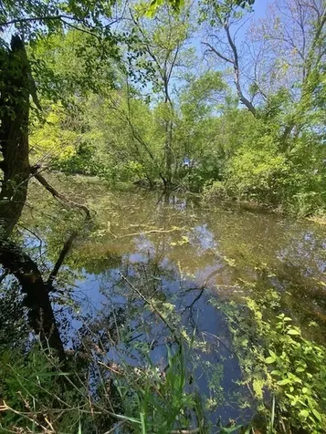 1023 Hooks Lane Fox Lake IL 60050