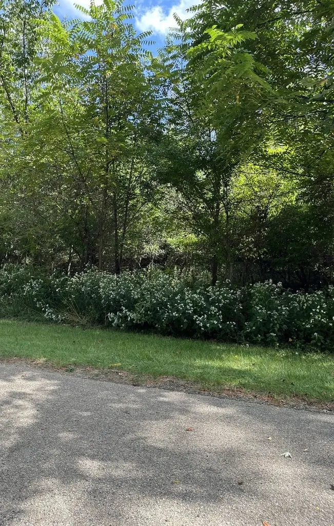 306 Platte Drive Dixon IL 61021