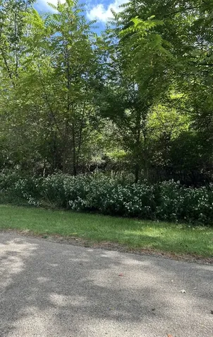 306 Platte Drive Dixon IL 61021