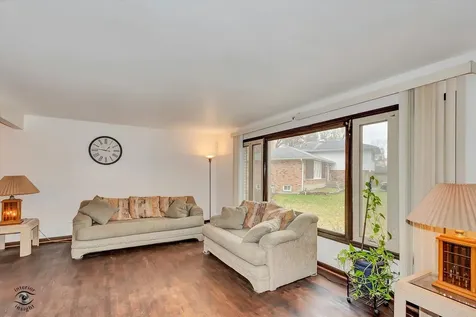 20535 Marathon Court Olympia Fields IL 60461