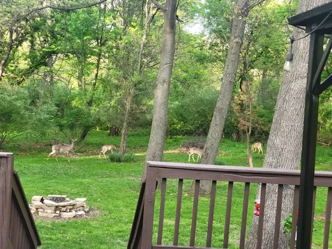 13 Birch Drive Putnam IL 61560