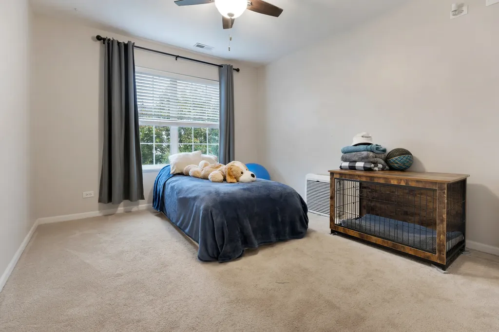 10009 Cummings Street Huntley IL 60142