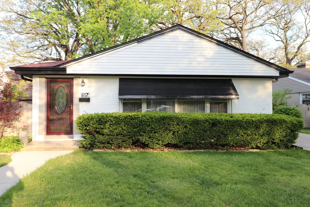817 Rowe Avenue Park Ridge IL 60068
