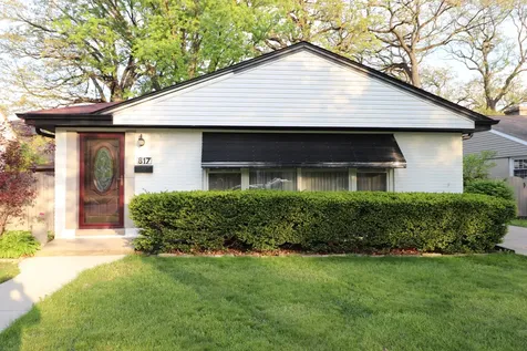 817 Rowe Avenue Park Ridge IL 60068