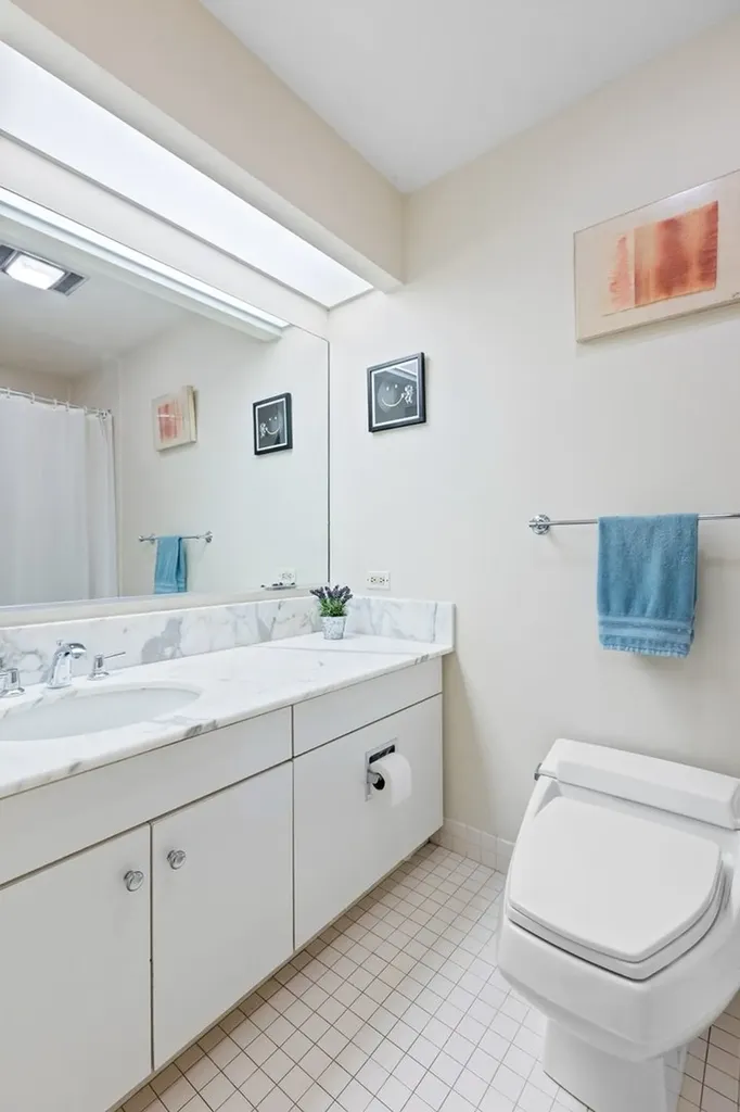680 North Lake Shore Drive Chicago IL 60611