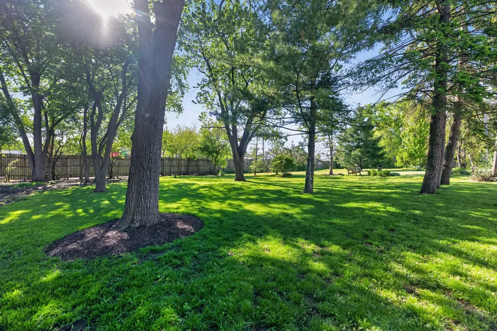 241 South Riverside Drive Villa Park IL 60181