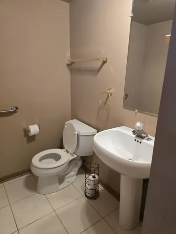 8413 Brookside Glen Drive Tinley Park IL 60487