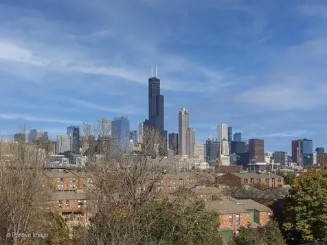 1151 West 14th Place Chicago IL 60608