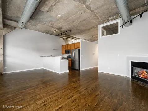 1151 West 14th Place Chicago IL 60608