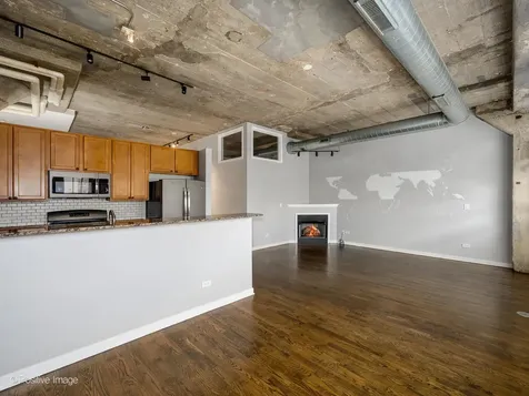 1151 West 14th Place Chicago IL 60608