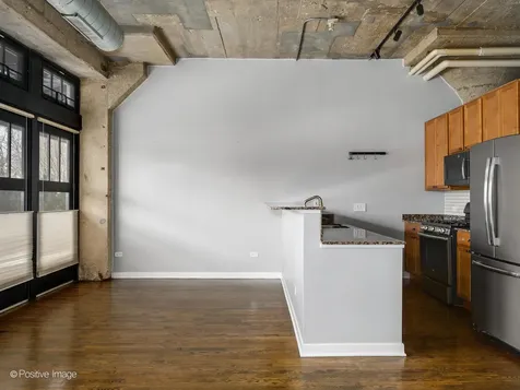1151 West 14th Place Chicago IL 60608
