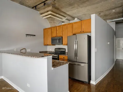 1151 West 14th Place Chicago IL 60608