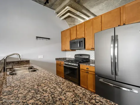 1151 West 14th Place Chicago IL 60608