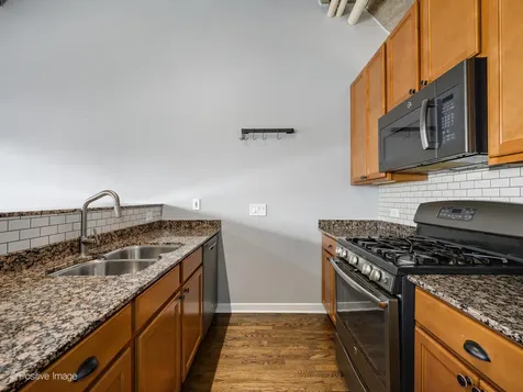 1151 West 14th Place Chicago IL 60608