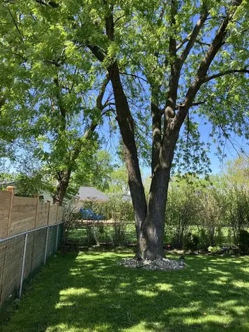 254 Placid Way Elk Grove Village IL 60007