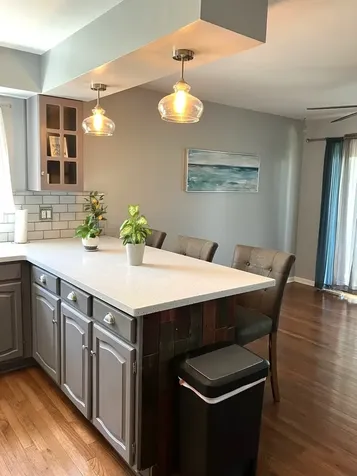 254 Placid Way Elk Grove Village IL 60007