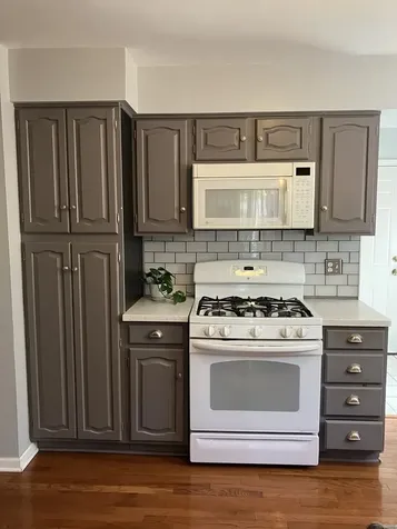 254 Placid Way Elk Grove Village IL 60007