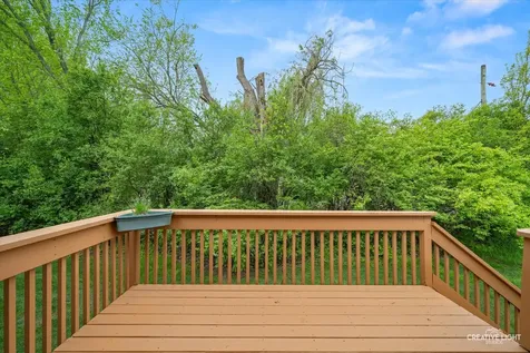 12780 Marian Drive Lemont IL 60439