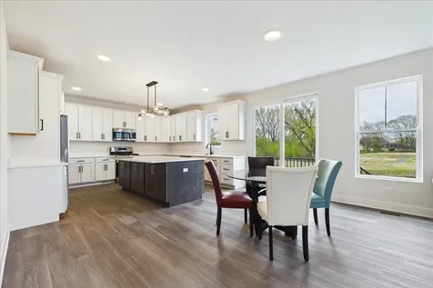 22164 West Casa Bella View Kildeer IL 60047